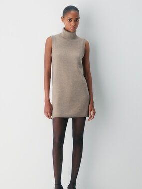 Aritzia Essential Wool Cashmere Outline Dress in Taupe